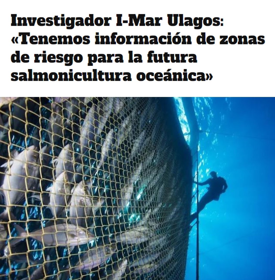 Entrevista | Dr. Patricio Díaz «Tenemos información de zonas de riesgo para la futura salmonicultura oceánica»