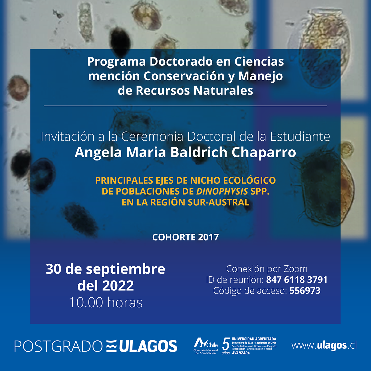Tesis Doctoral | 30 de Septiembre | 10h00 | Doctorado en Ciencias, Srta. Angela Baldrich Chaparro